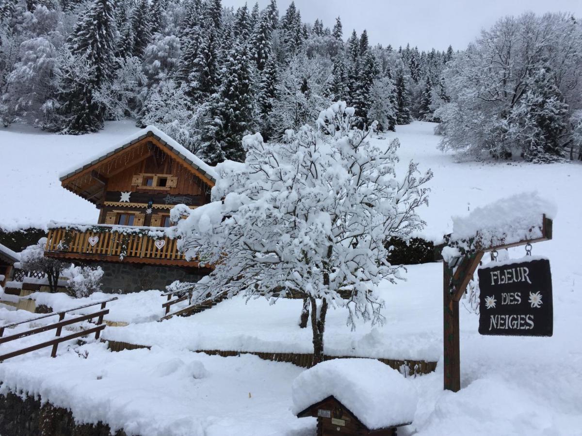Chalet Fleur Des Neiges Saint-Jean-dʼAulps Exterior foto