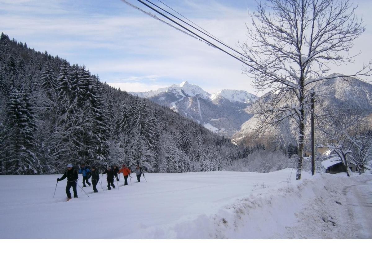 Chalet Fleur Des Neiges Saint-Jean-dʼAulps Exterior foto