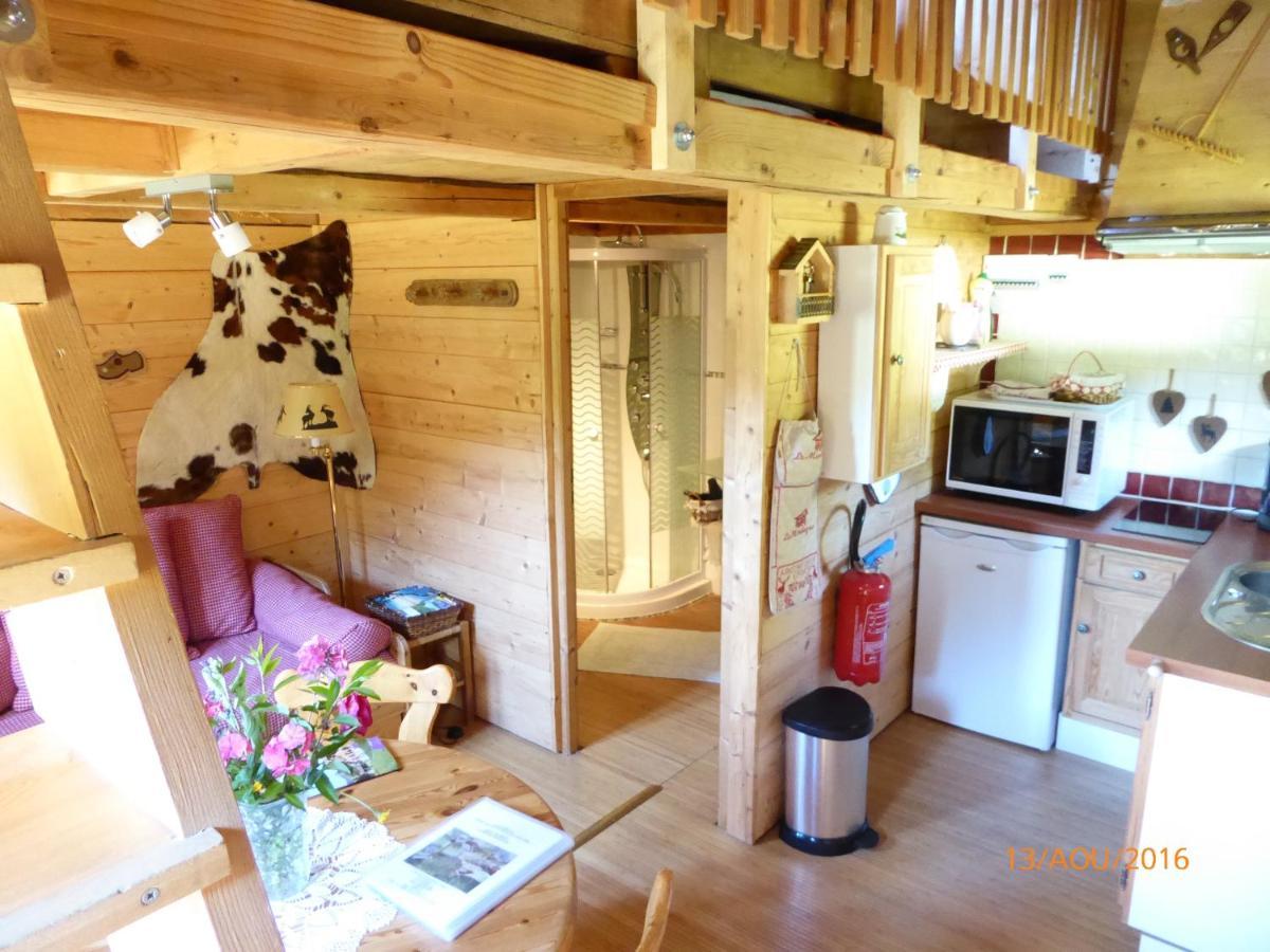 Chalet Fleur Des Neiges Saint-Jean-dʼAulps Exterior foto